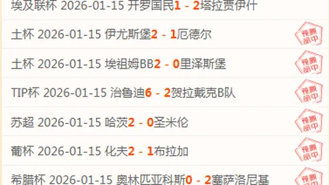 [大巴黎新春祝福] 洋溢中国风情